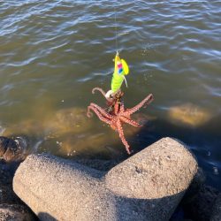 ⭐︎そろそろ苦潮気配