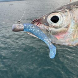 仕事終わりのボートアジング