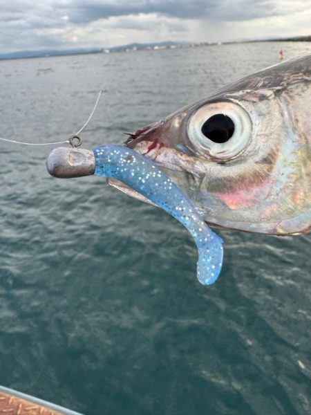 仕事終わりのボートアジング