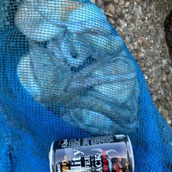 オクトパッシング13