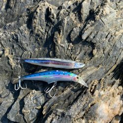 ショアジギング楽しい！