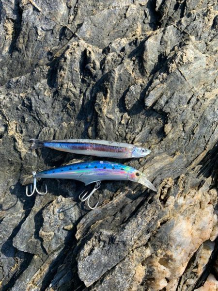 ショアジギング楽しい！