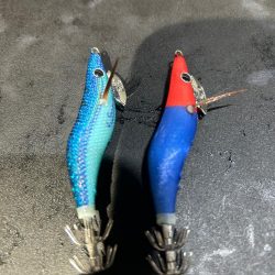 去年のリベンジは出来たかな