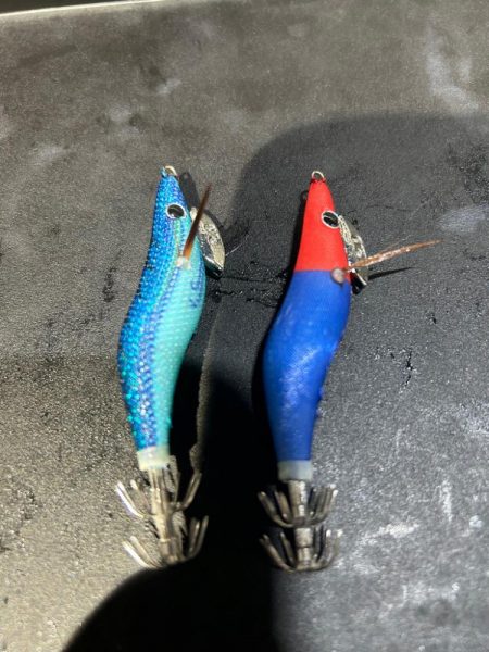 去年のリベンジは出来たかな