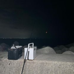 魚津港 フカセ夜釣り