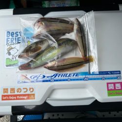 シロギス釣り