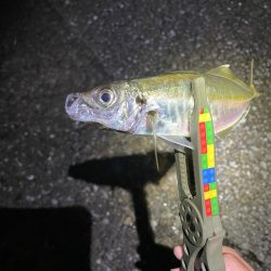 雨の合間を打って