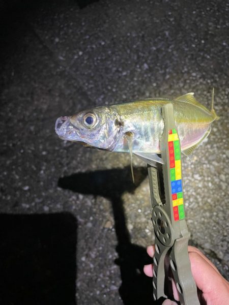 雨の合間を打って