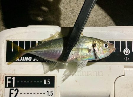 🐟この引き、この引き&#x…