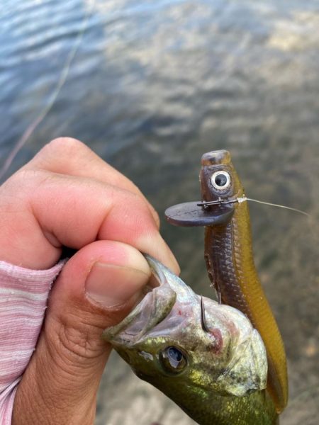 ロングワームで