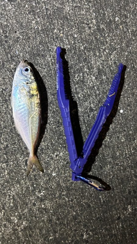 再調査アジング