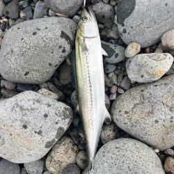 君じゃないんだけど、まあいいか