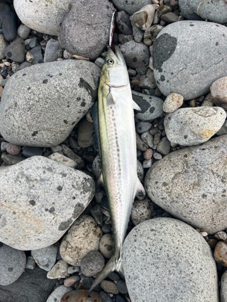 君じゃないんだけど、まあいいか