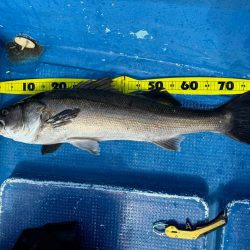 ボートアジング