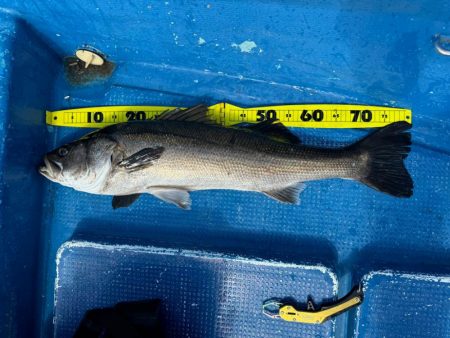 ボートアジング