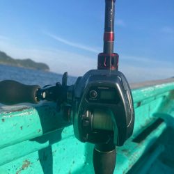 南伊勢のイカメタルゲーム