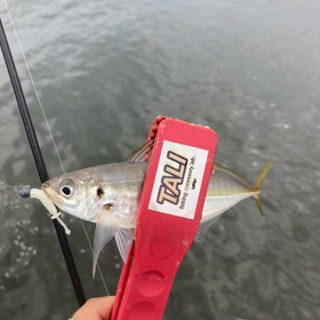 ディープアジング