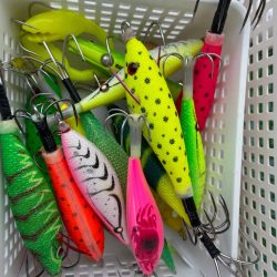 船タコいい感じ