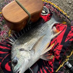 ヘチってきました