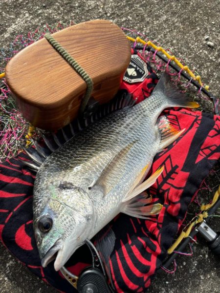 ヘチってきました