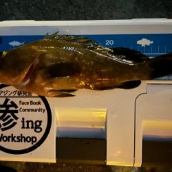 夏でも立派な奴がいた