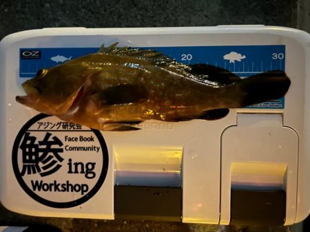 夏でも立派な奴がいた