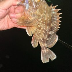 渋い時はライトワインド