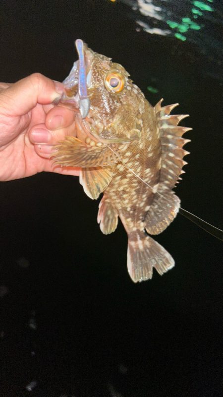 渋い時はライトワインド