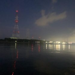 1年ぶりからの昨日ぶりのサビキ