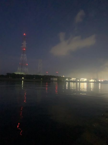 1年ぶりからの昨日ぶりのサビキ