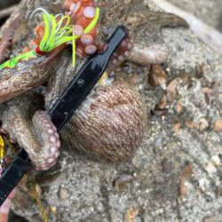 オクトパッシング10