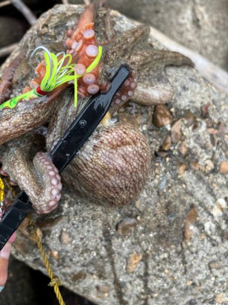 オクトパッシング10