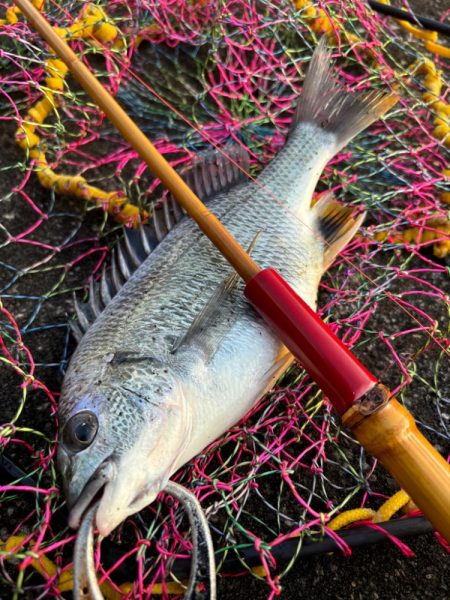 ヘチってきました