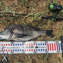 スウィングウォブラー四連発