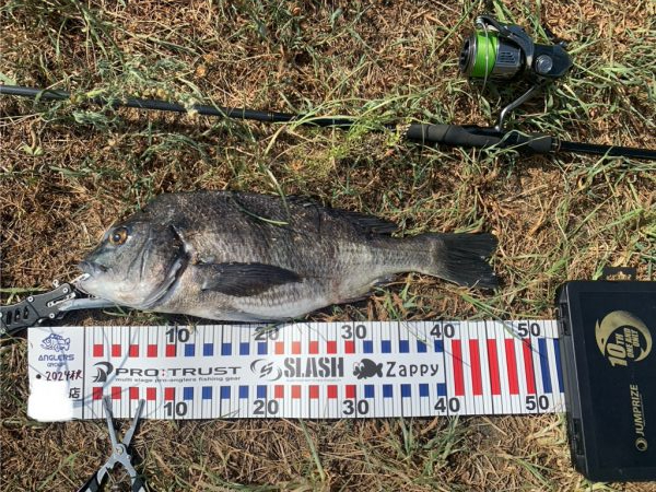 スウィングウォブラー四連発