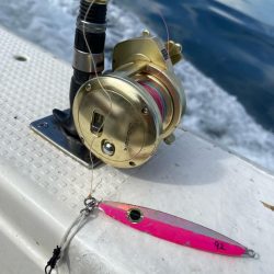 明石ジギング釣行