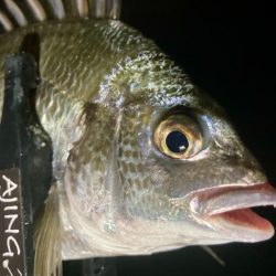 なんとかギリギリ中サイズ🐟