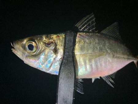 えッ! キスおった‼︎