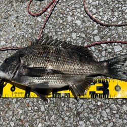 熱中症にはご注意を。