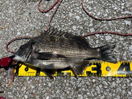 熱中症にはご注意を。