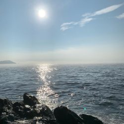 朝マズメ高活性