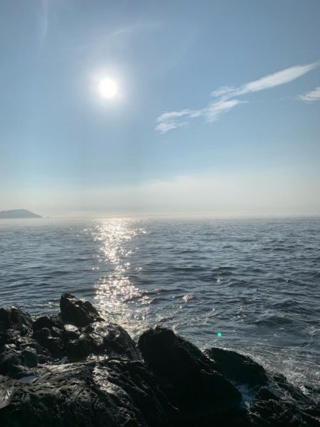 朝マズメ高活性