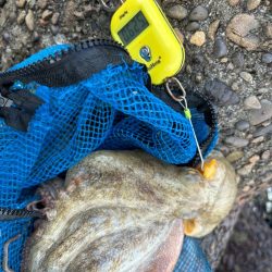 オクトパッシング11