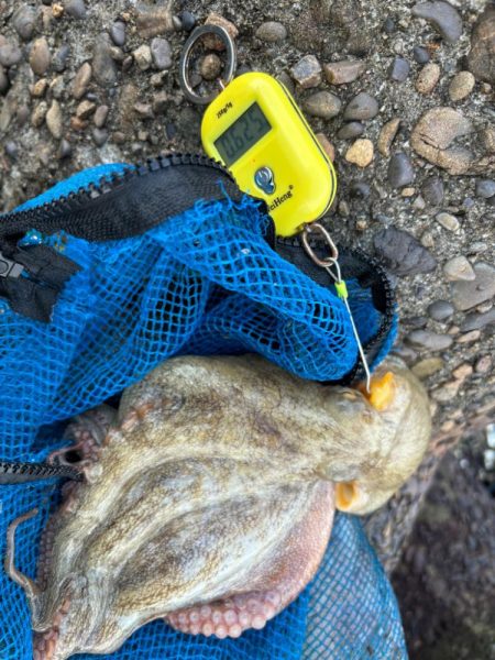 オクトパッシング11