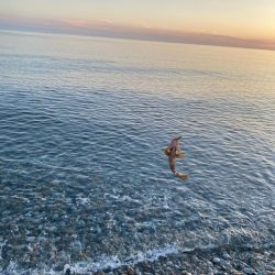 フラットフィッシュ