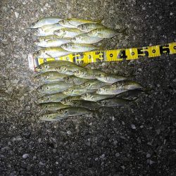 サーフでフロート〜