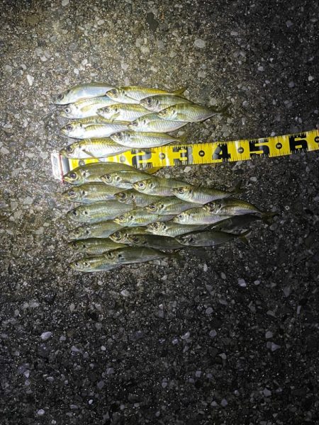 サーフでフロート〜