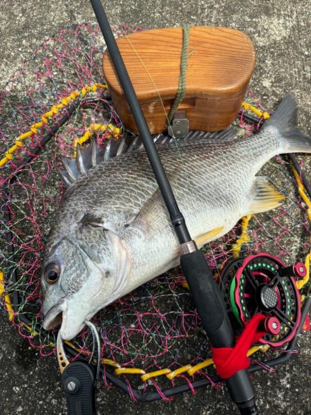 ヘチってきました