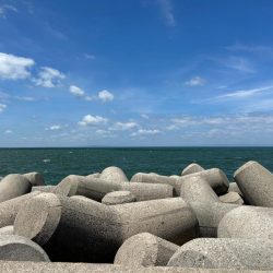 魚津港フカセ釣り