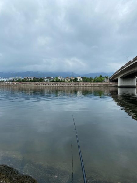 フカセで初チヌ